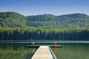 Dock Building
